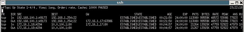 Pftop-kalake-dmz-up-view-long.gif